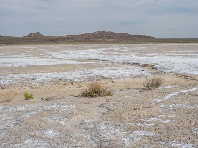 Salt Wells
