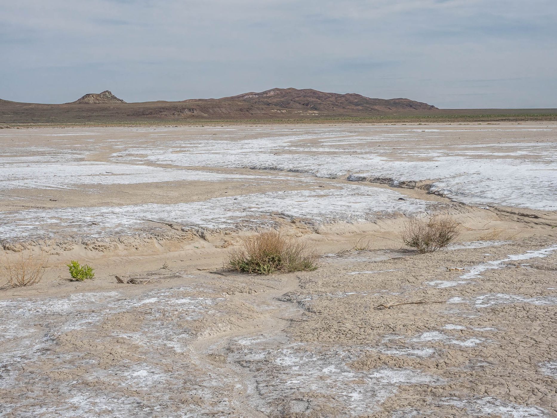 Salt Wells, USA