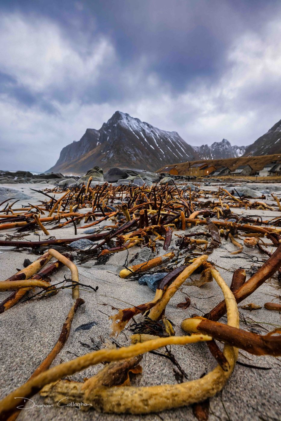 Seaweed Vikten Beach, Norway