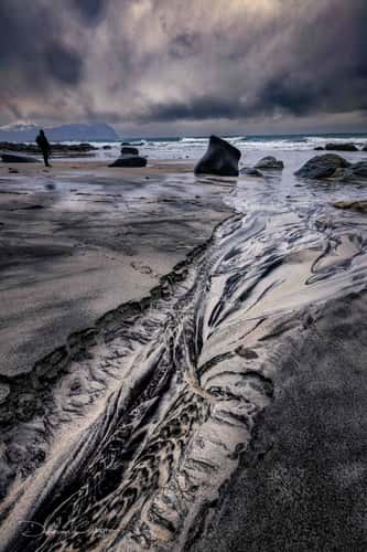 Seaweed Vikten Beach