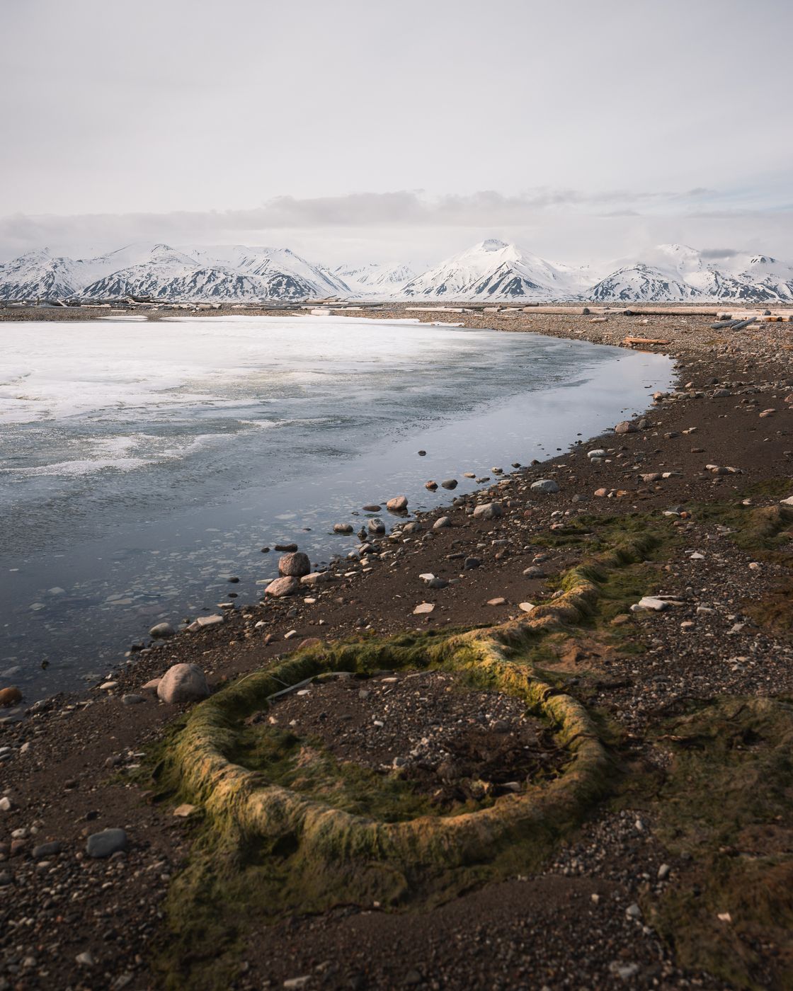 Shorelines in Wijdefjorden, Svalbard & Jan Mayen Islands
