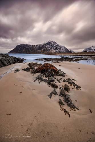 Skagsanden Beach