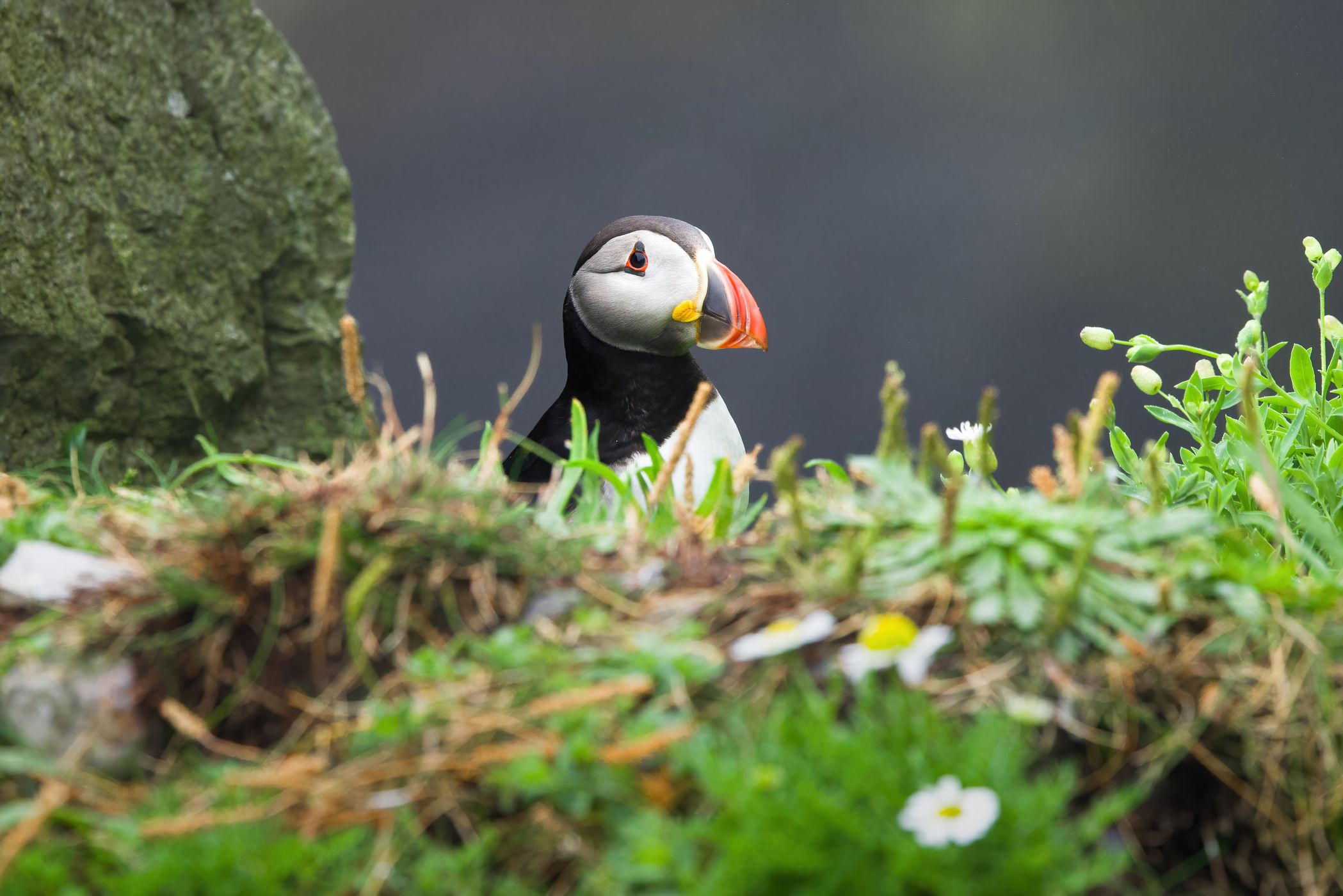 Skellig Michael, Ireland