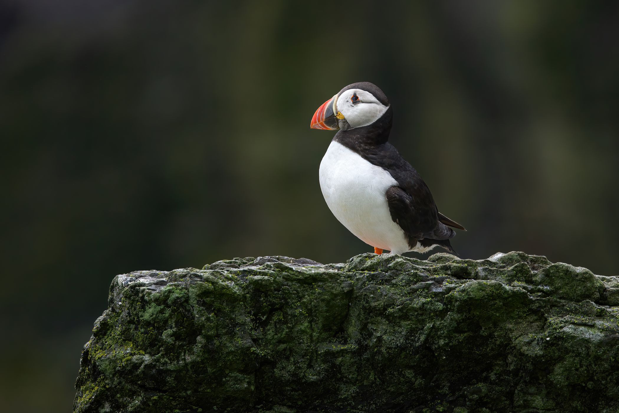 Skellig Michael, Ireland