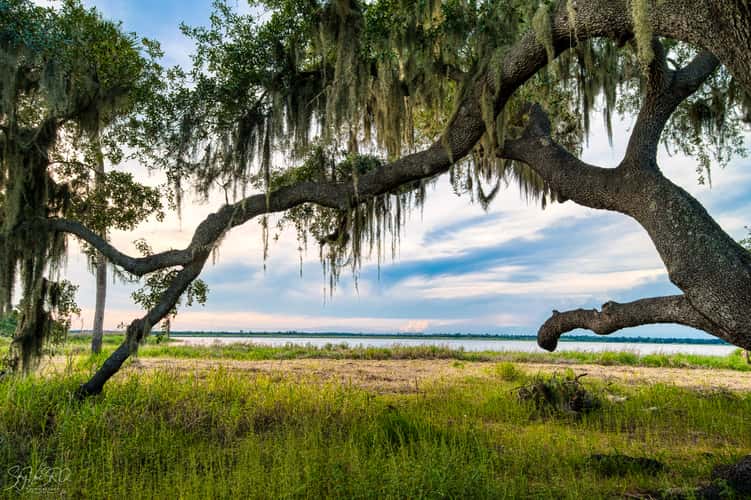 The Myakka Outpost