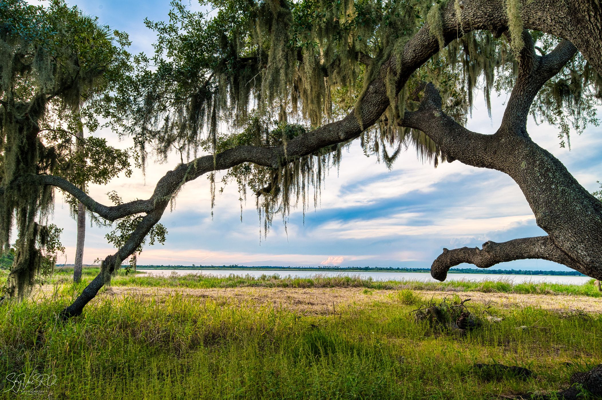 The Myakka Outpost, USA
