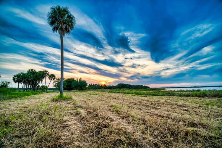 The Myakka Outpost