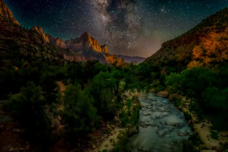 The Watchman