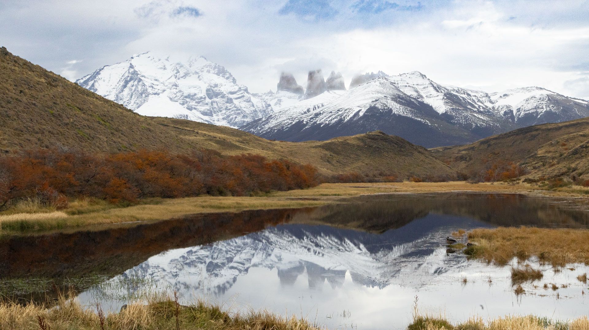 TORRES DEL PAINE, Chile
