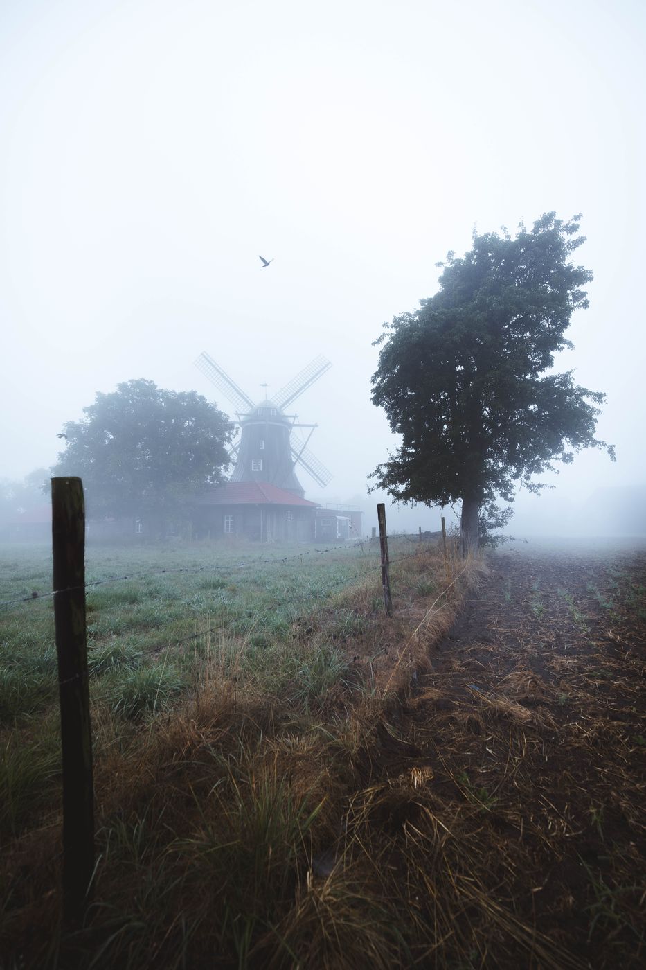 Turmwindmühle Menke, Südlohn, Germany