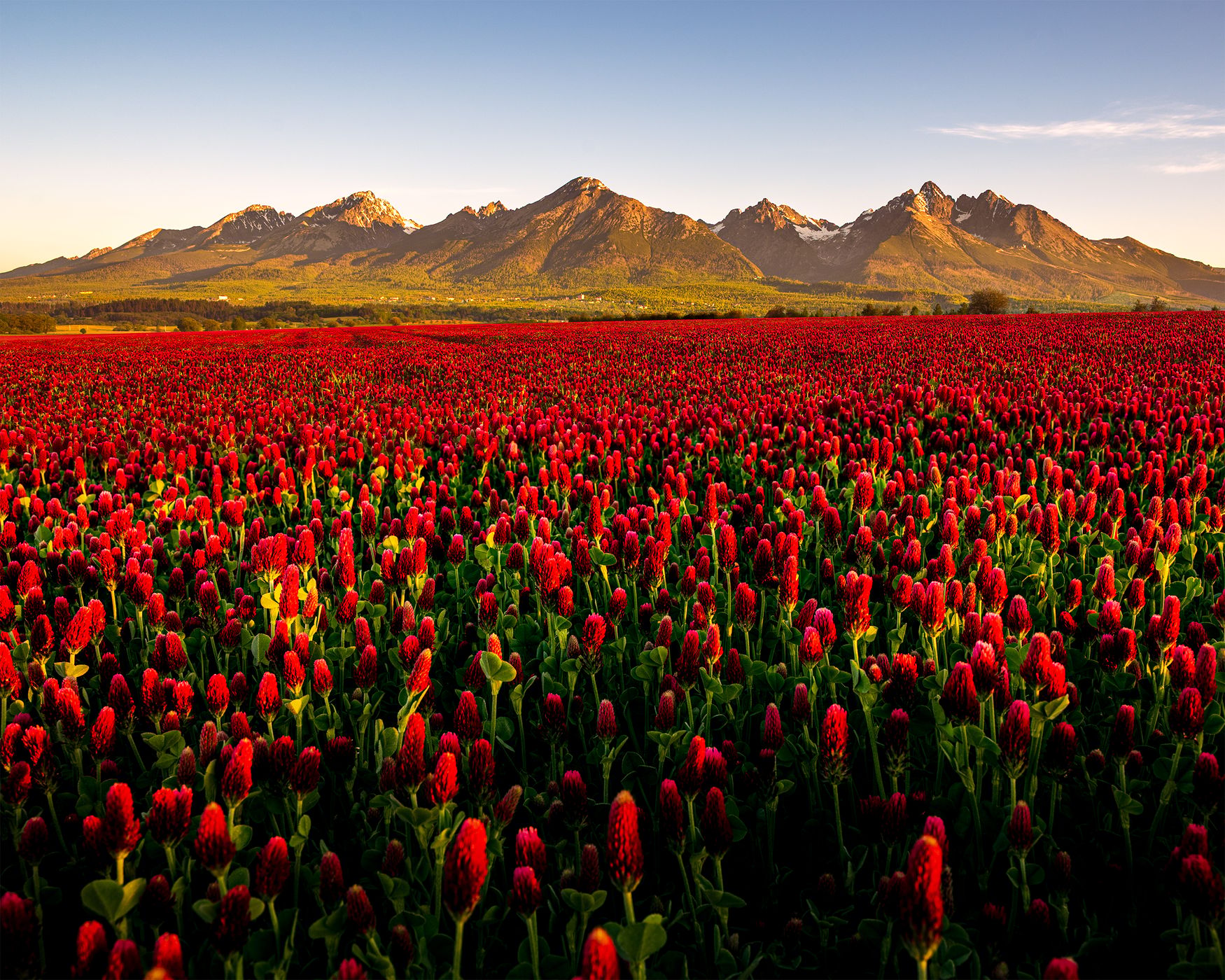 view of the High Tatras, Slovakia (Slovak Republic)