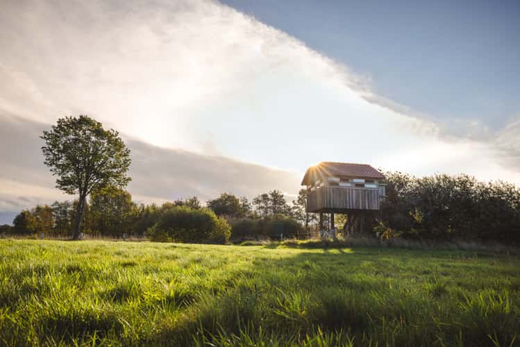 Vogelhaus, Lilienvenn in Münsterland
