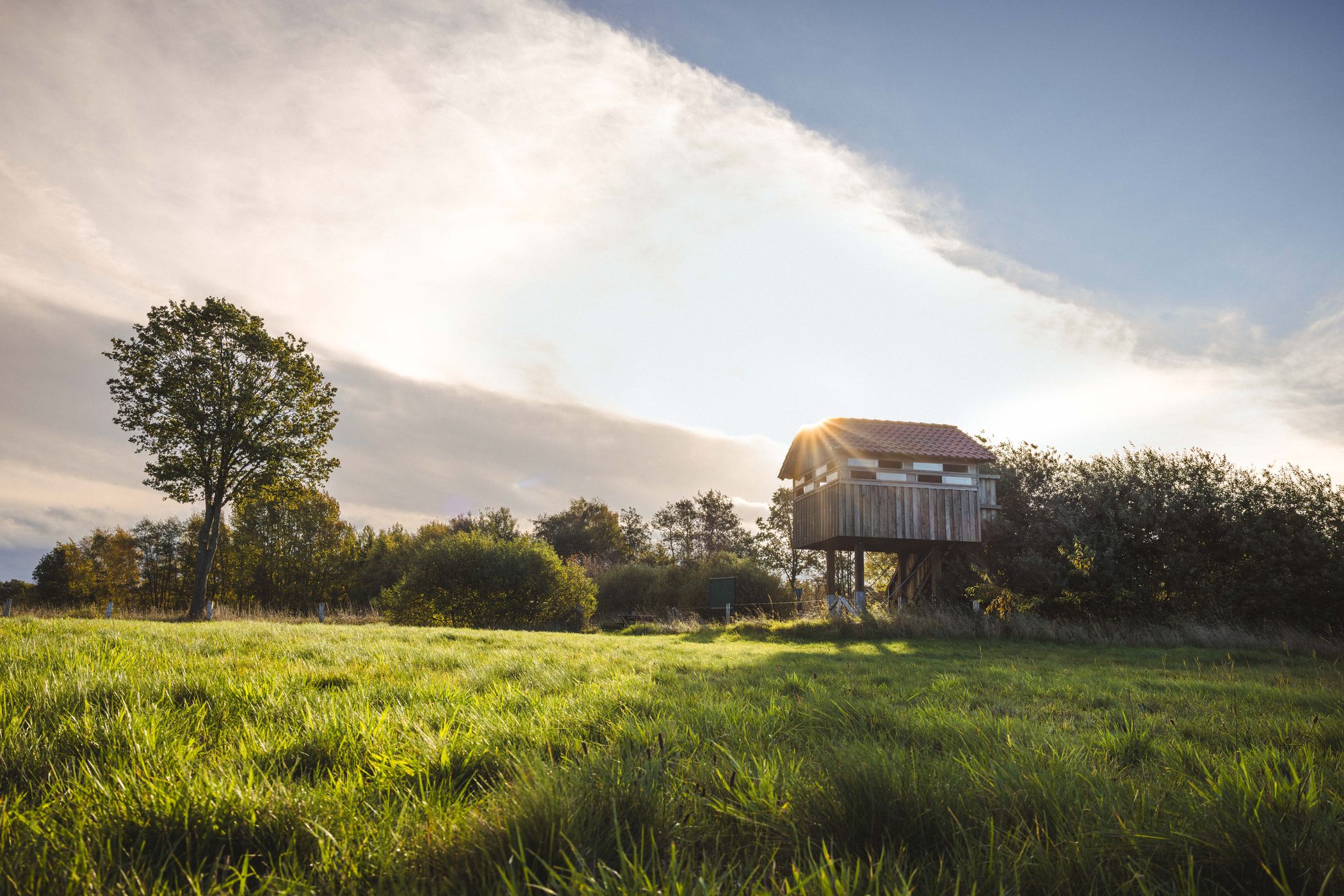 Vogelhaus, Lilienvenn in Münsterland, Germany