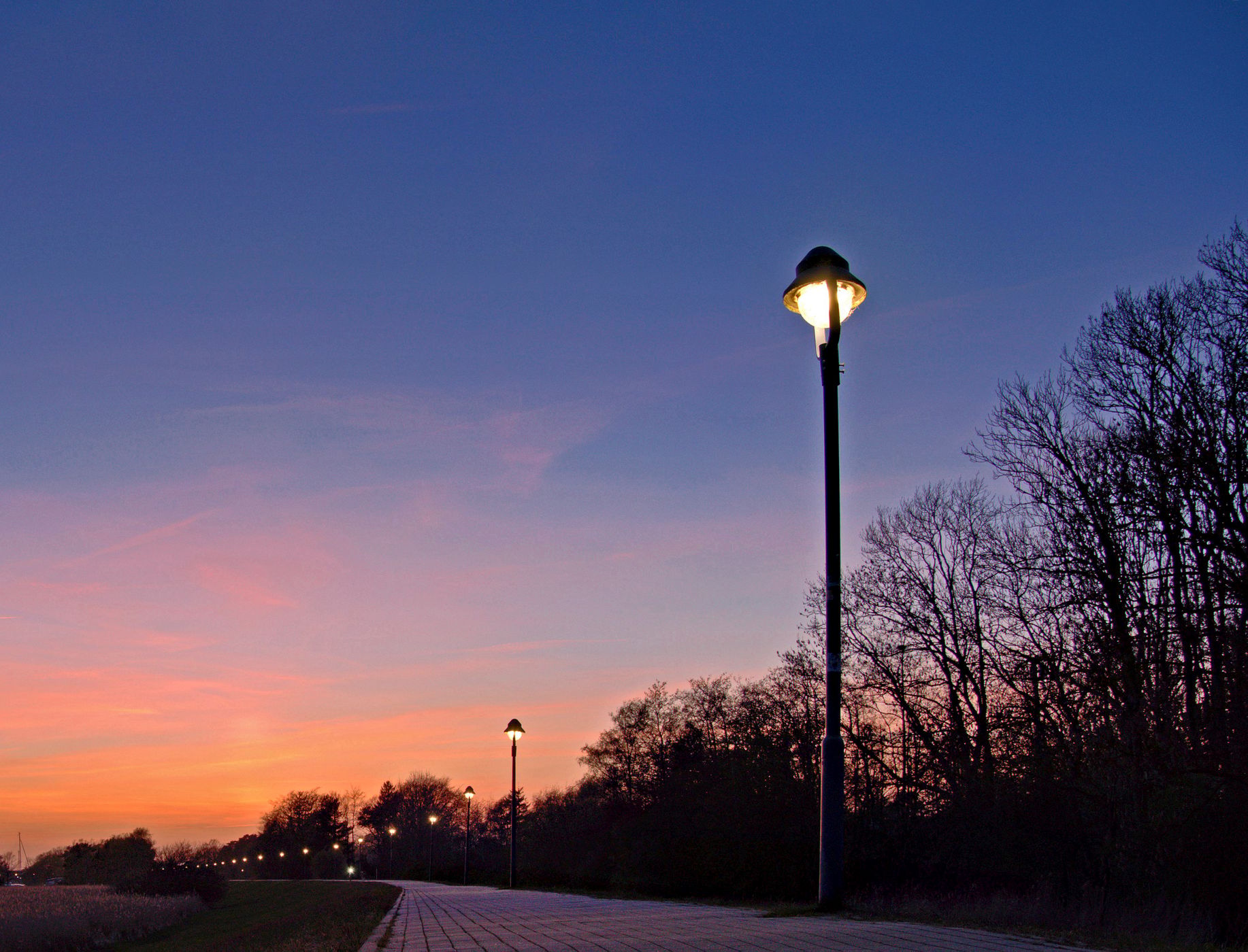 Weg zum Hafen in Zingst, Germany