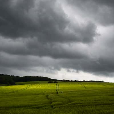 Weierbach, wheat fields, Germany