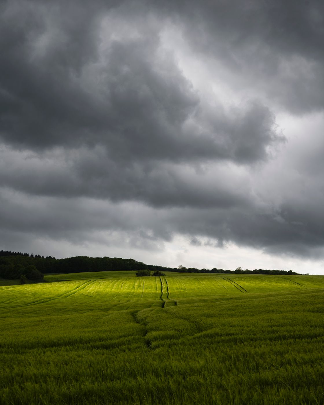 Weierbach, wheat fields, Germany