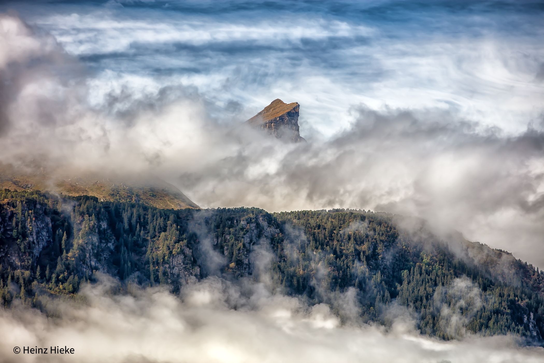 Weisstanne, Switzerland