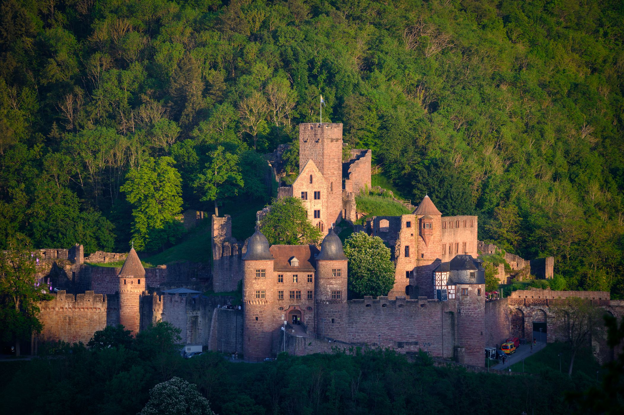 Wertheim - Aussichtspunkt im Wald, Germany