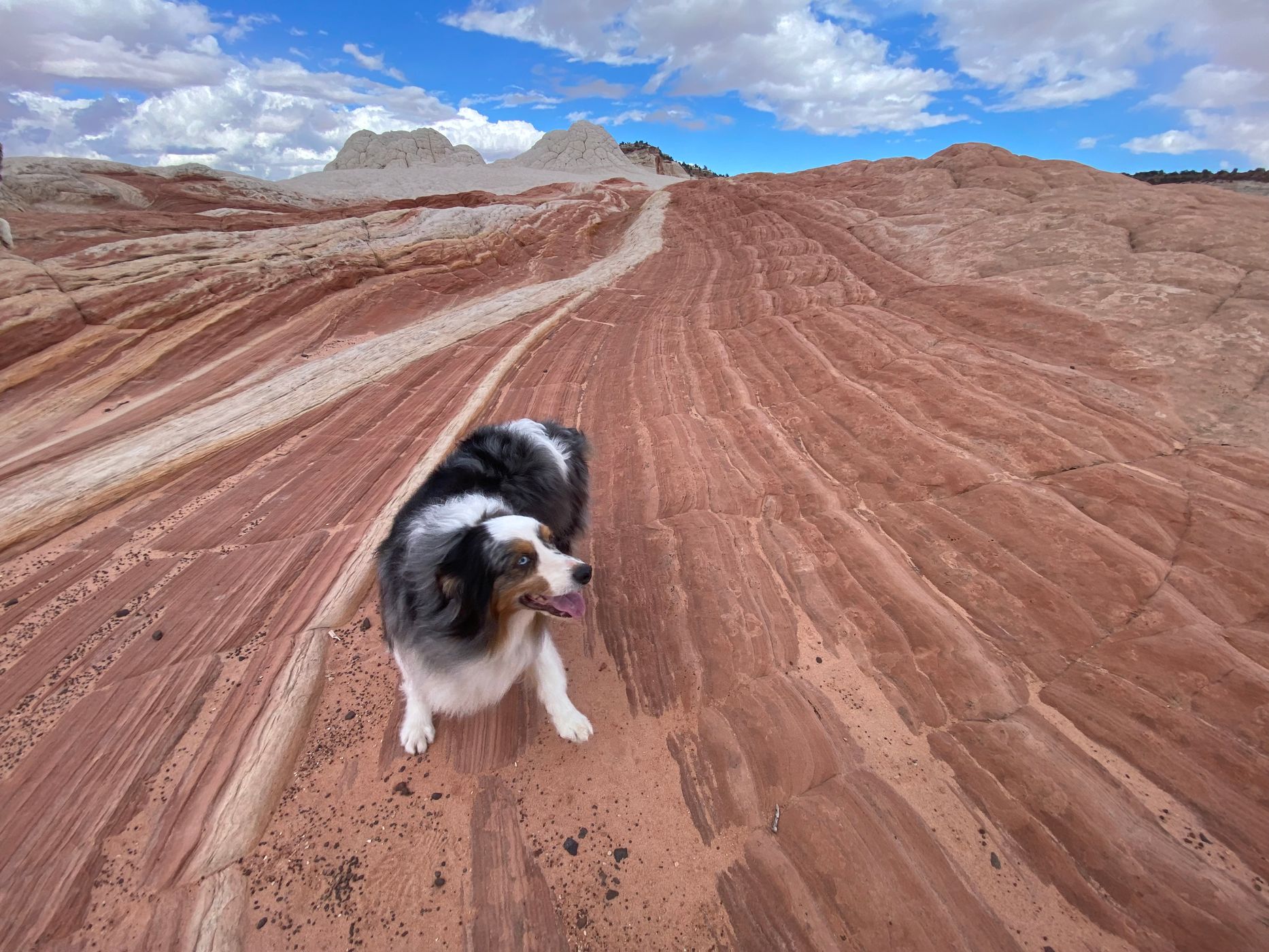 White Pocket, USA