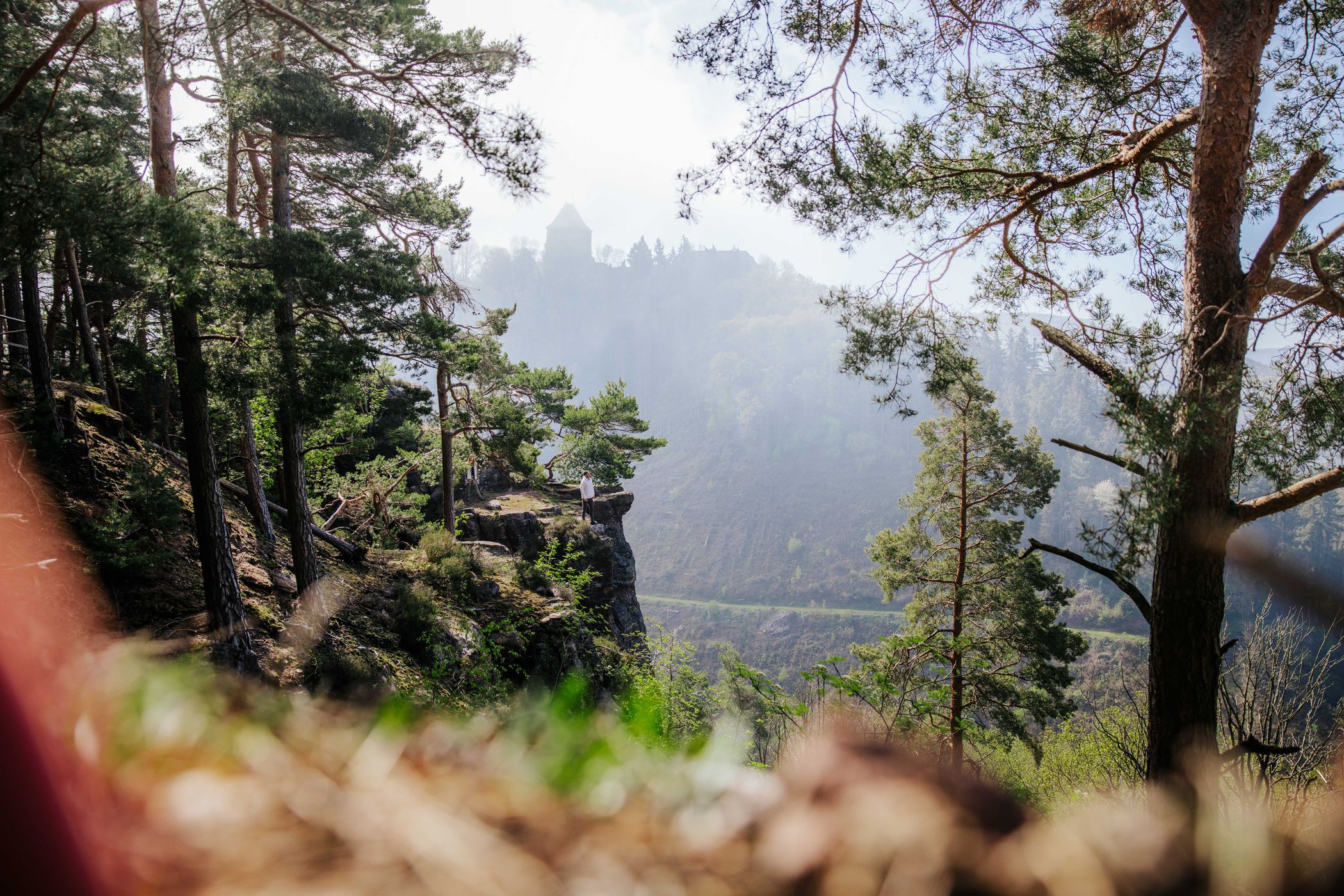Wingertswegblick, Nideggen, Germany