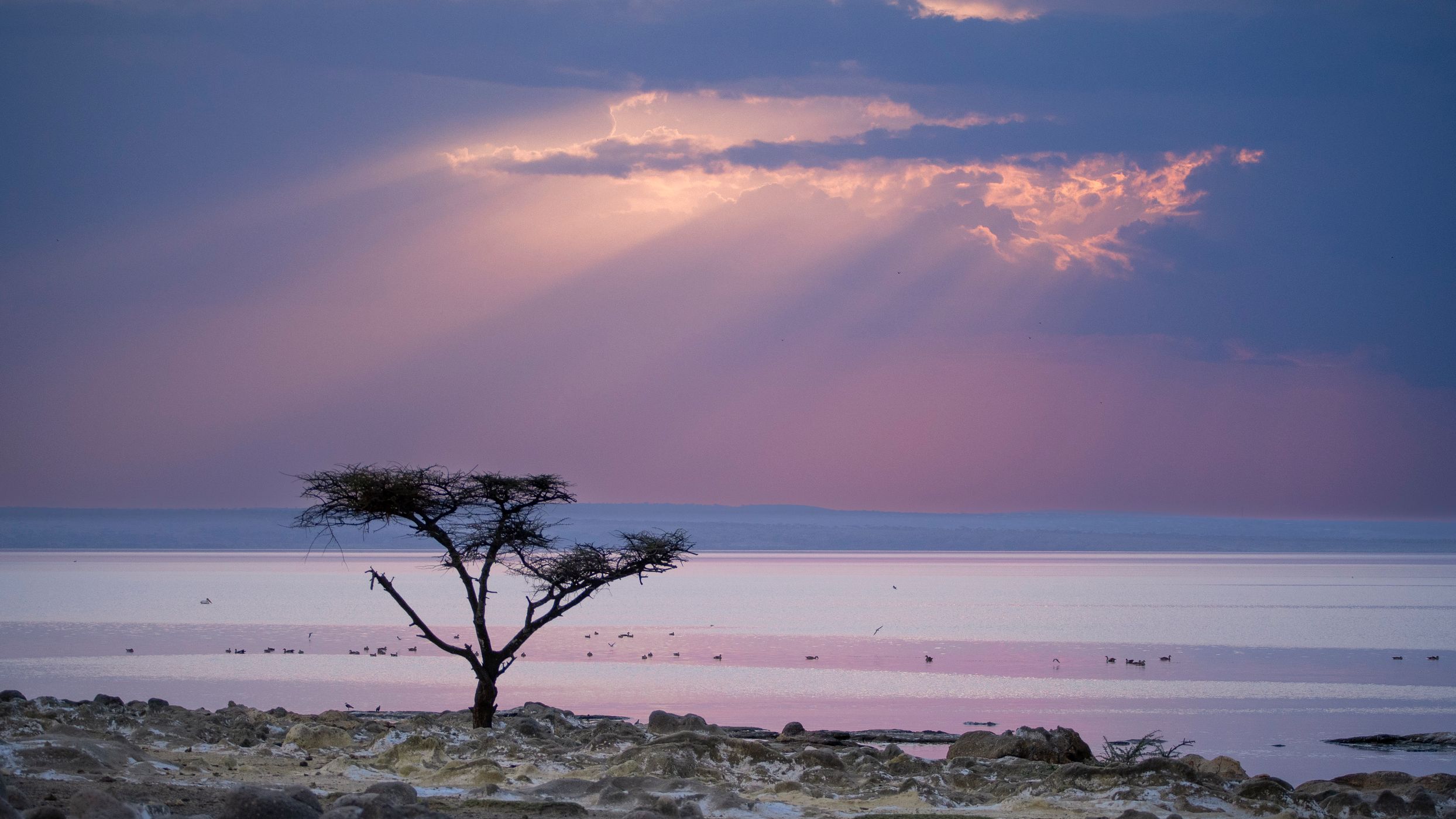 Abijata lake, Ethiopia