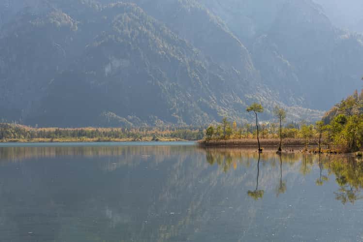 Almsee