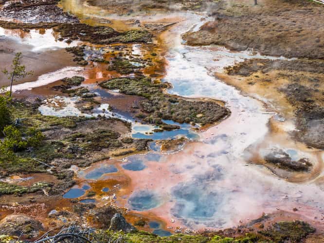 Artists Paintpots
