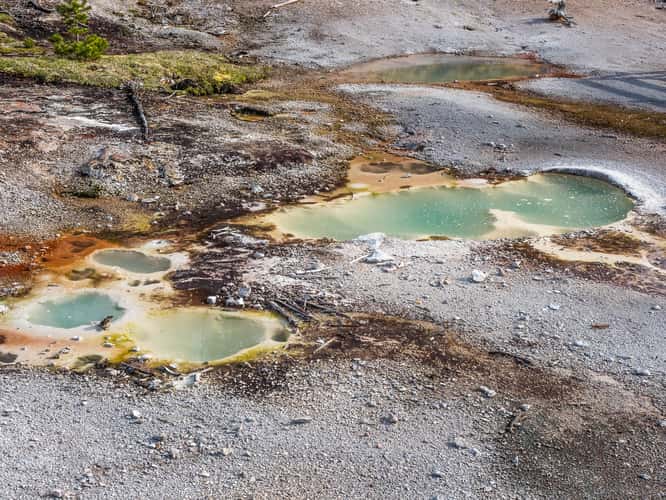Artists Paintpots