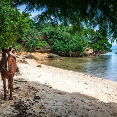 Beach, Vanumbua, Fiji