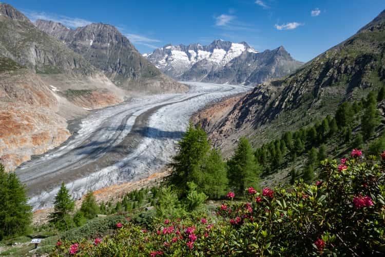Biel Aletsch