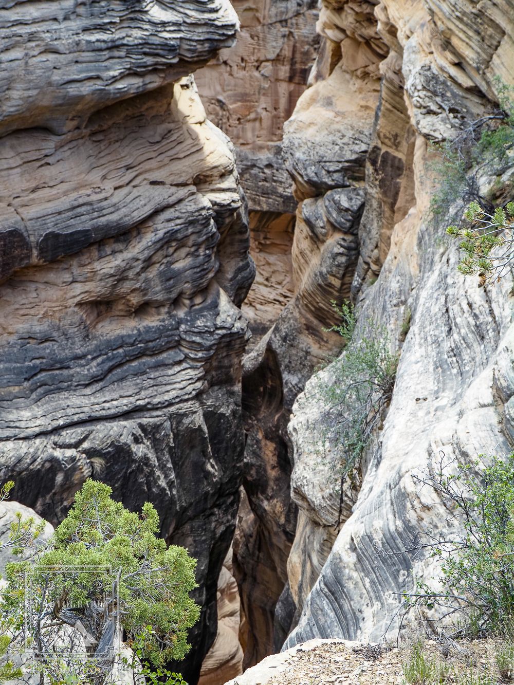 Bull Valley Gorge, USA