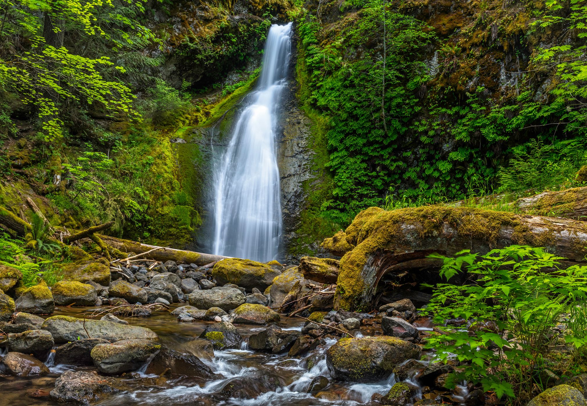 Camp Creek Falls, USA