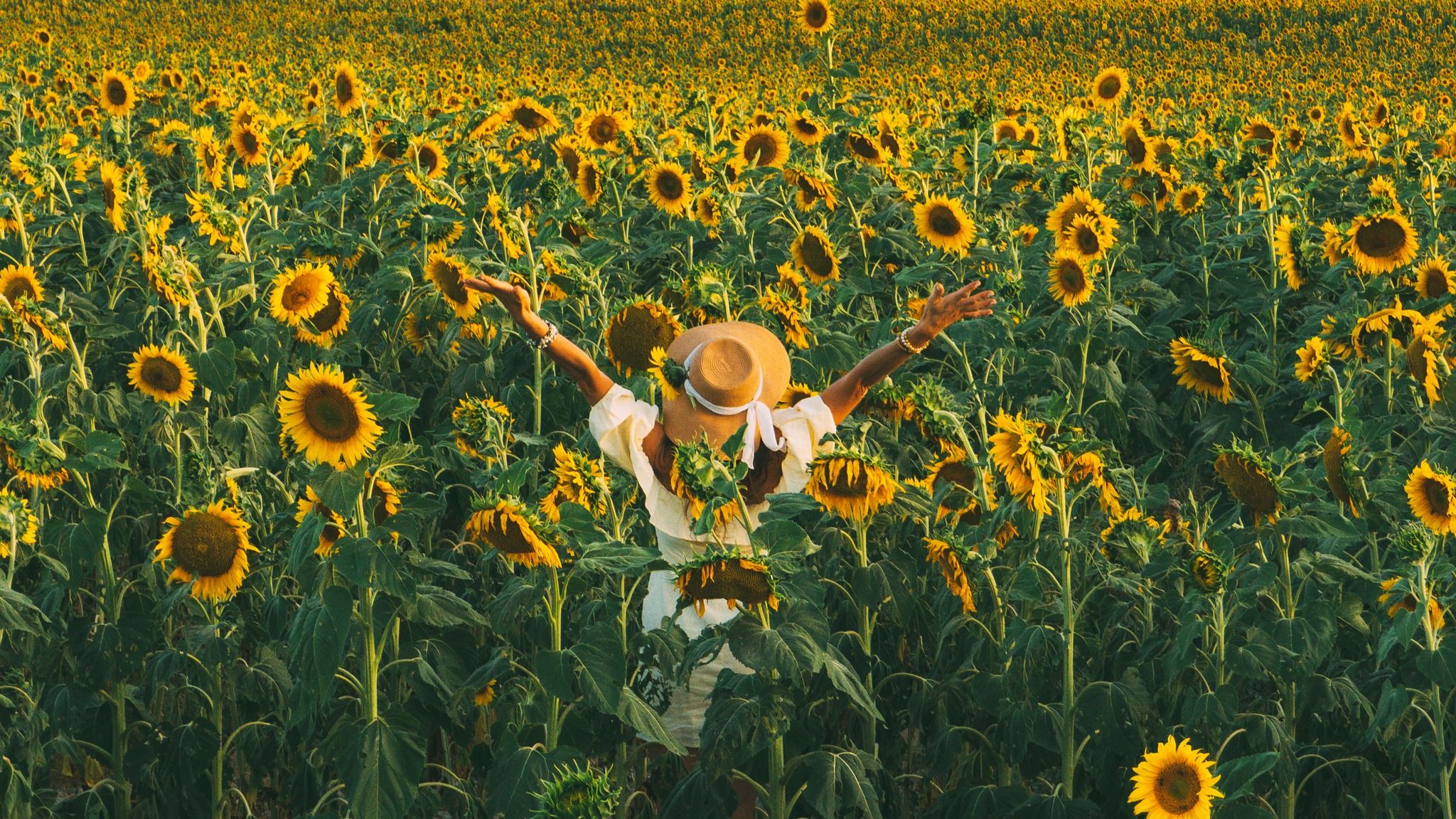 Campo de Girasoles, Spain