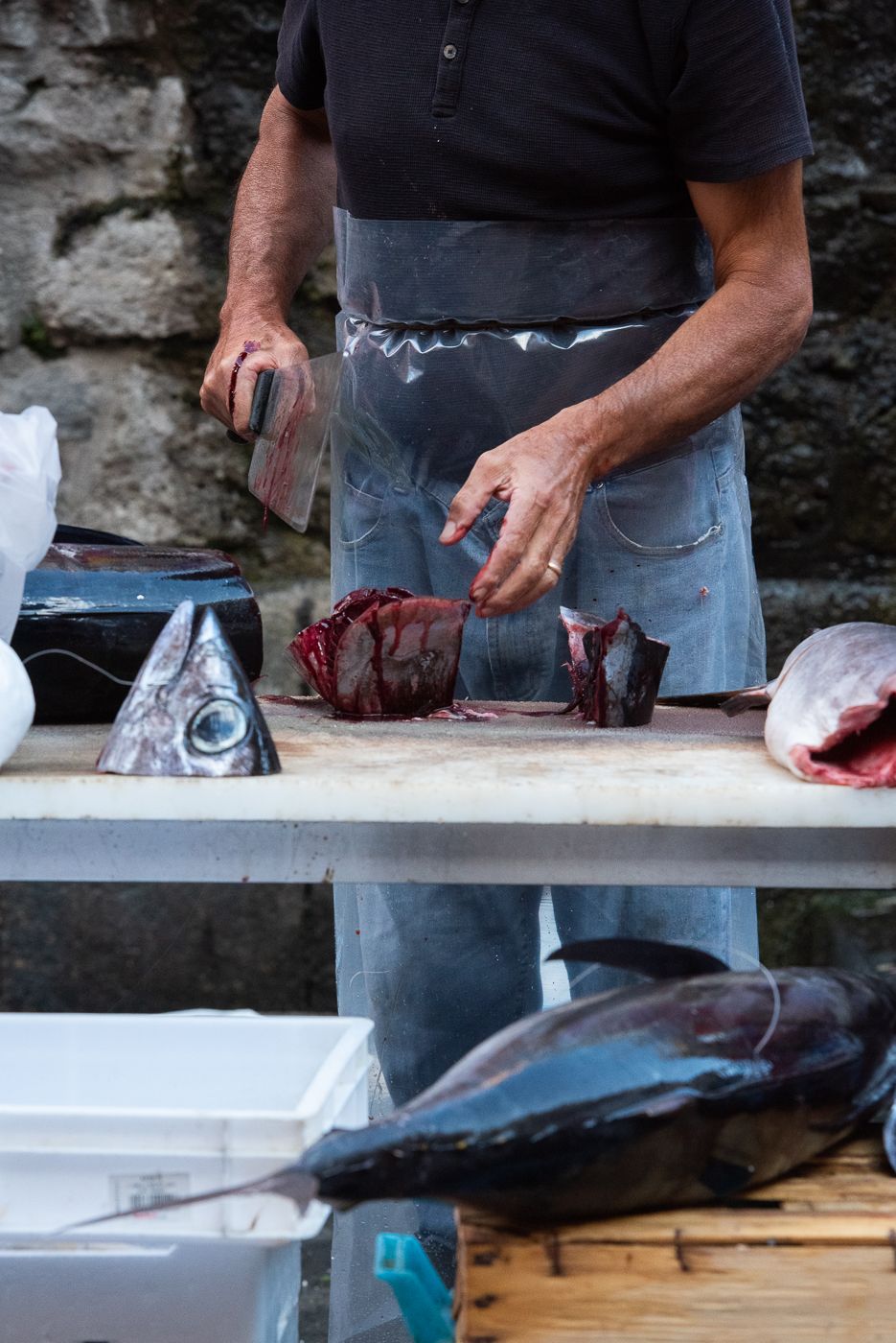 Catania fish market, Italy