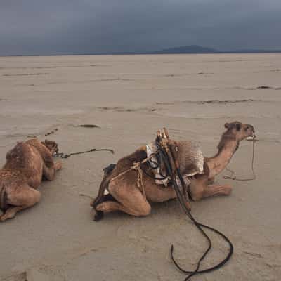 Danakil desert, Ethiopia