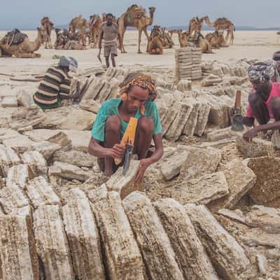 Danakil salt extraction, Ethiopia