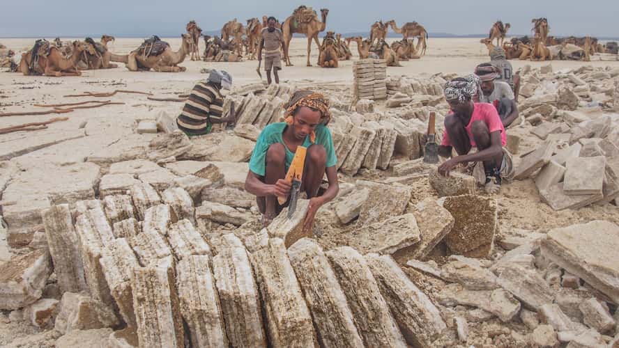 Danakil salt extraction