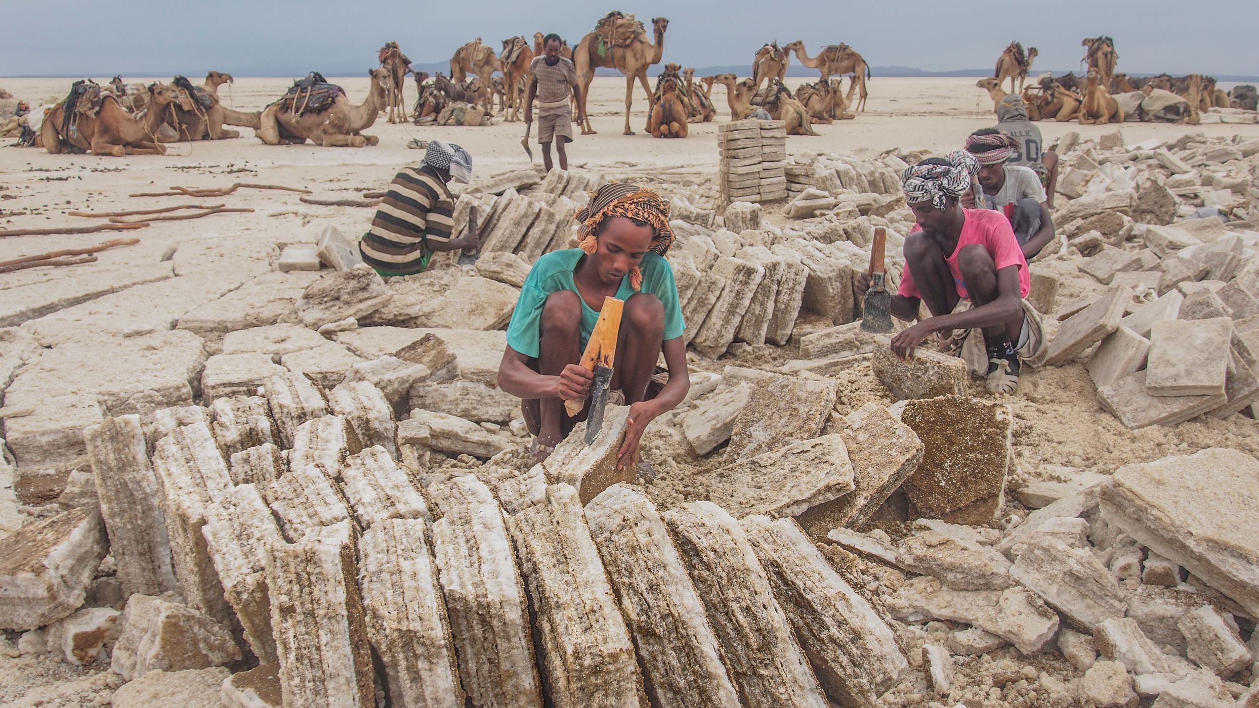 Danakil salt extraction, Ethiopia
