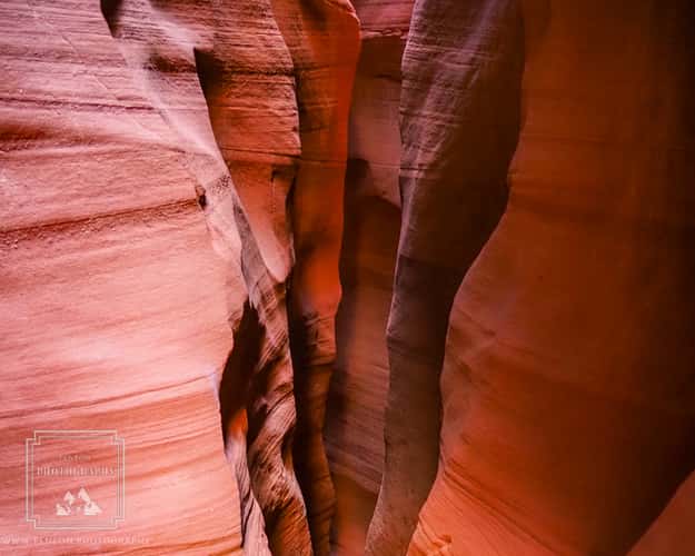 Deer Canyon