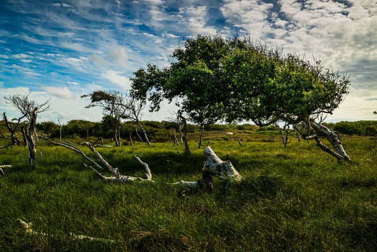 Dünenlandschaft Weisse Düne