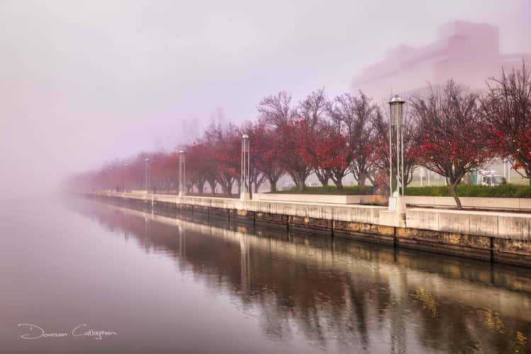 Fog Lake Burley Griffin, Canberra