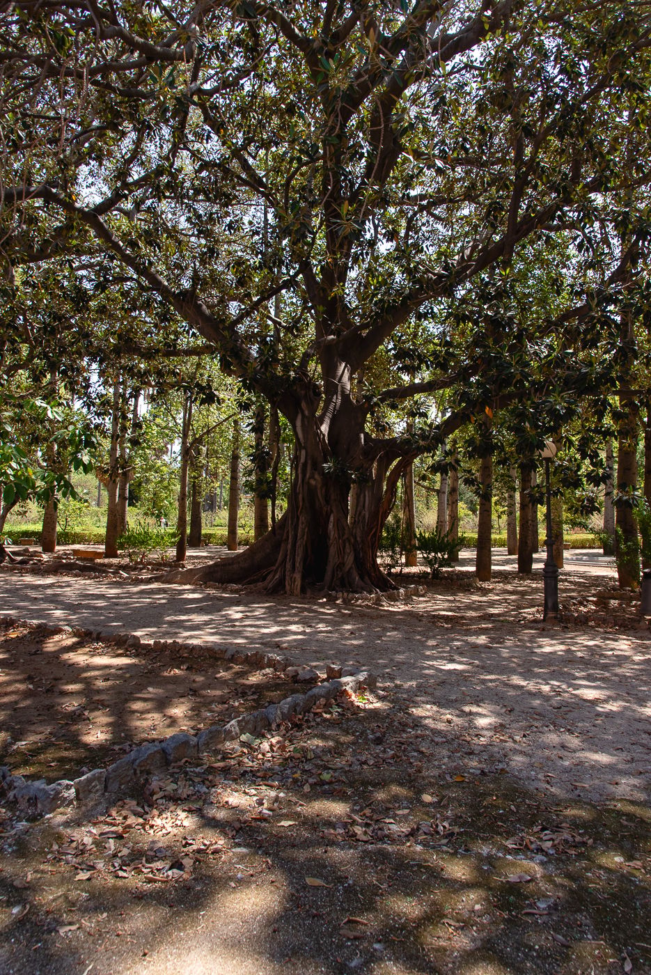 Orto Botanico di Palermo, Italy