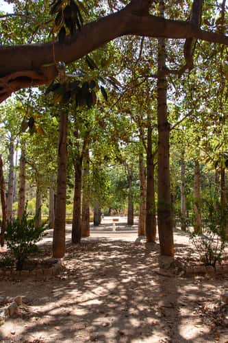 Orto Botanico di Palermo