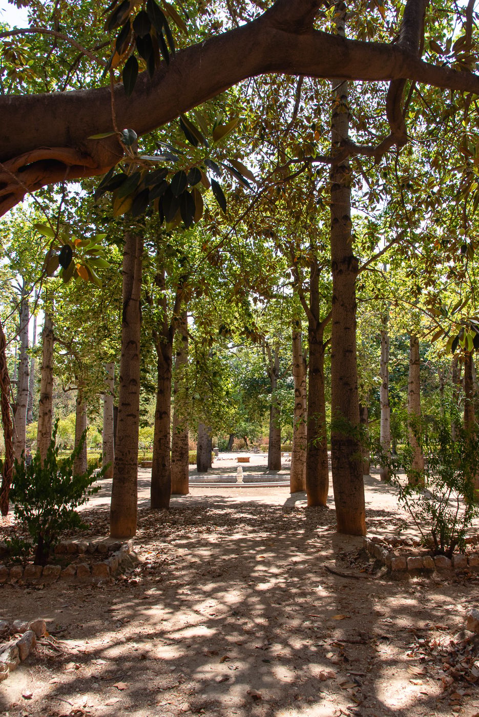 Orto Botanico di Palermo, Italy