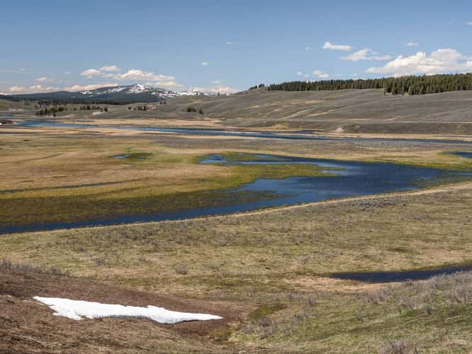 Hayden Valley Overlook at Yellowstone River