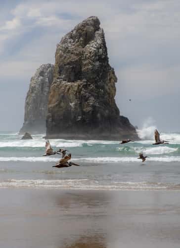 Haystack, Cannon Beach