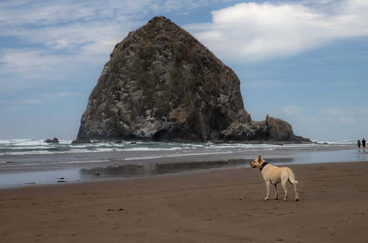 Haystack, Cannon Beach