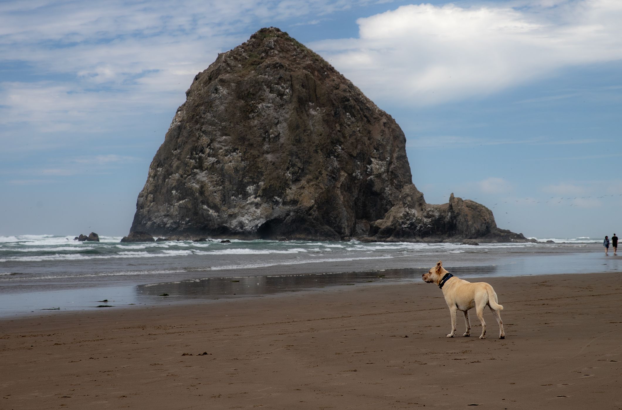 Haystack, Cannon Beach, USA