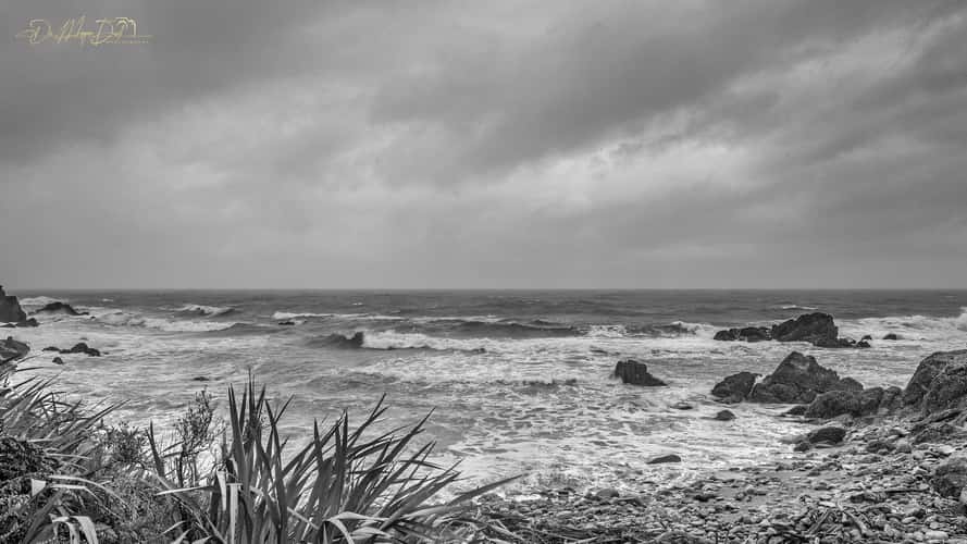 Jackson Bay Jetty