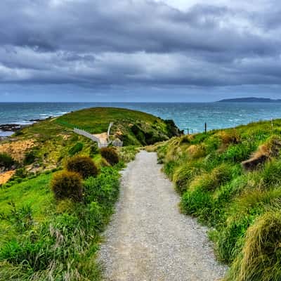 Katiki Point Lighthouse, New Zealand